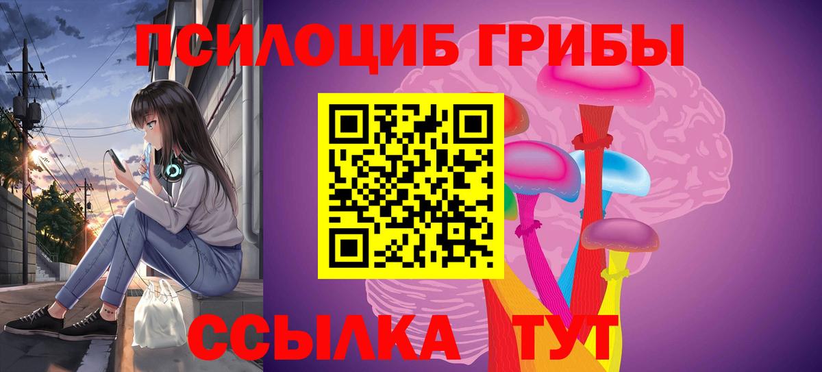 Галлюциногенные грибы Psilocybine cubensis Амурск